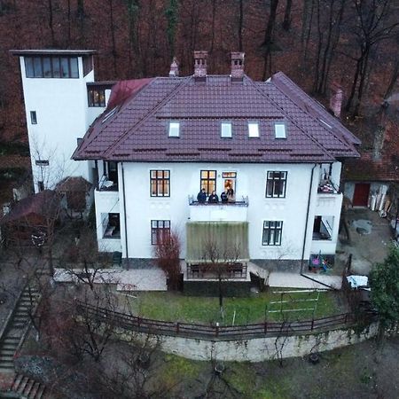 Vila Brazilor Качулата Екстериор снимка