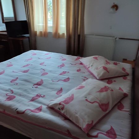 Vila Brazilor Качулата Екстериор снимка