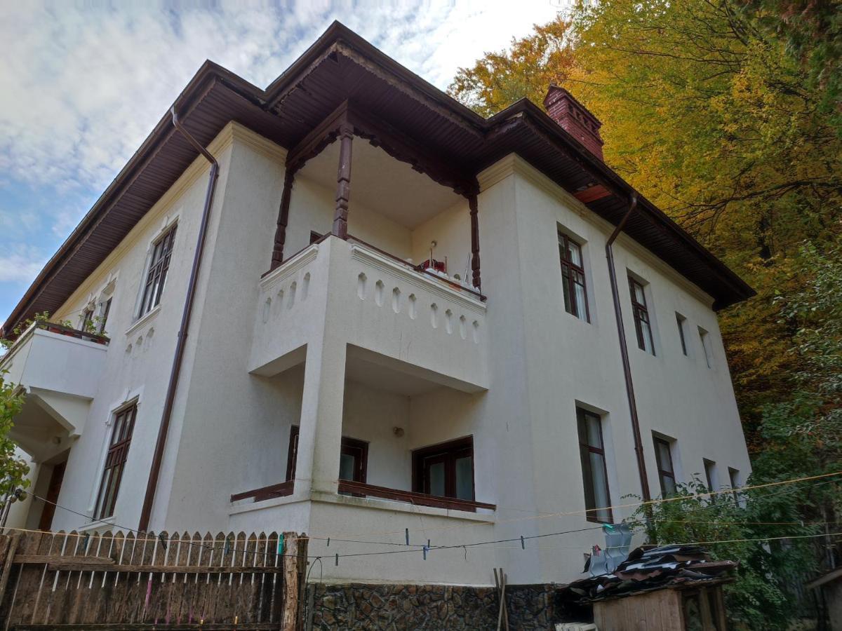 Vila Brazilor Качулата Екстериор снимка