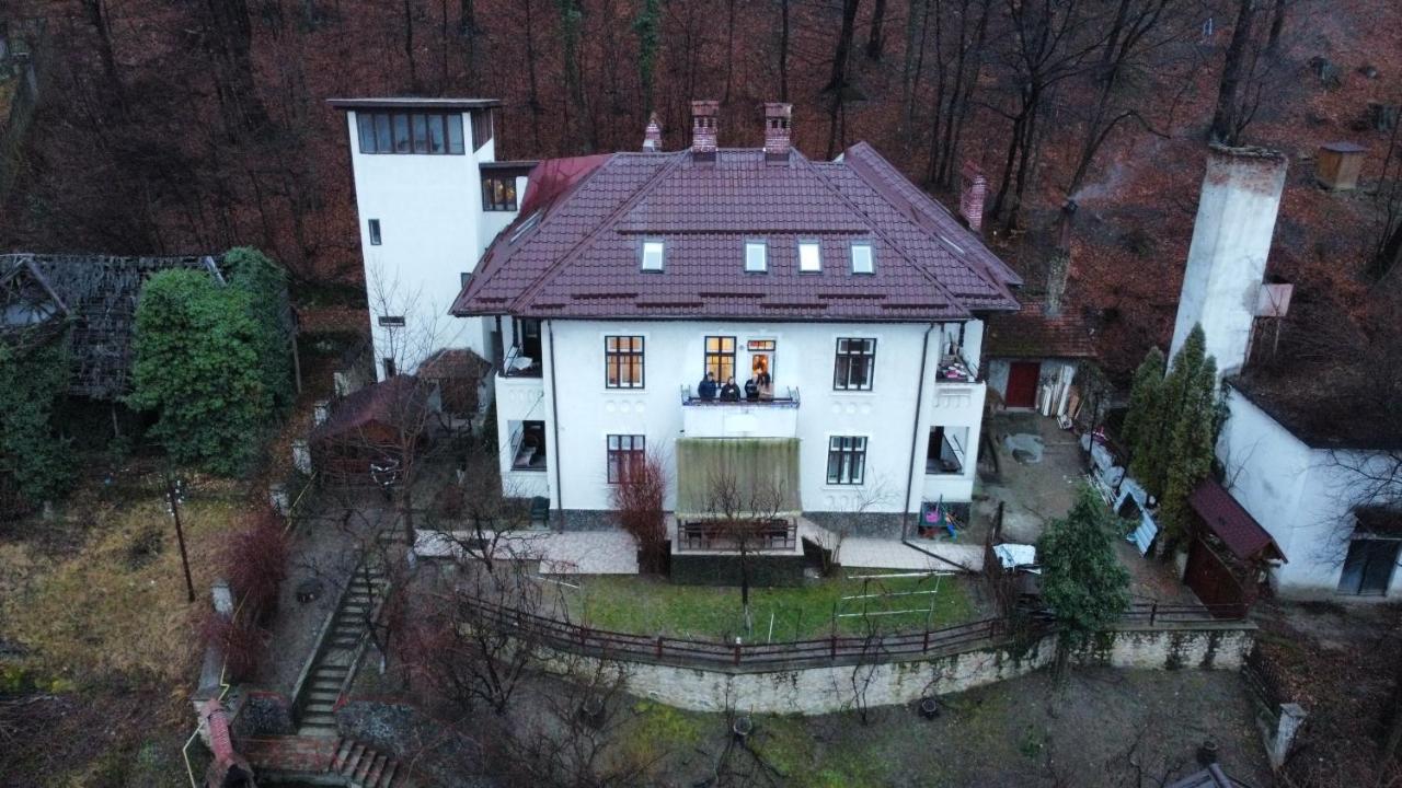 Vila Brazilor Качулата Екстериор снимка