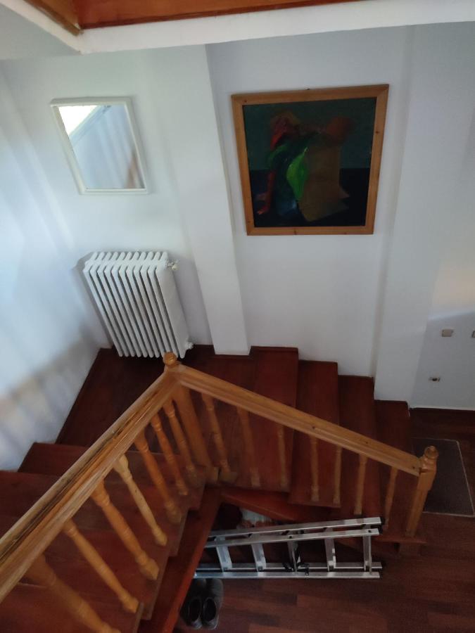 Vila Brazilor Качулата Екстериор снимка