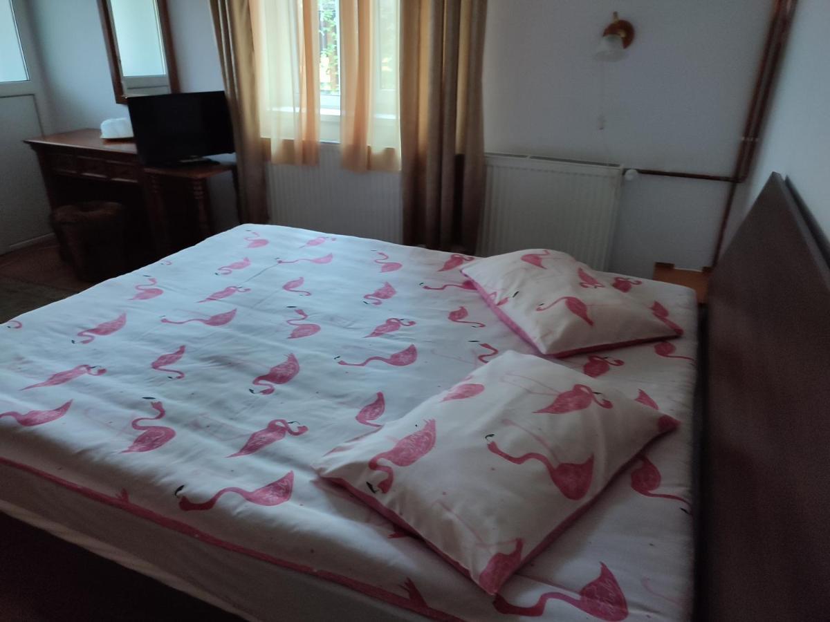Vila Brazilor Качулата Екстериор снимка